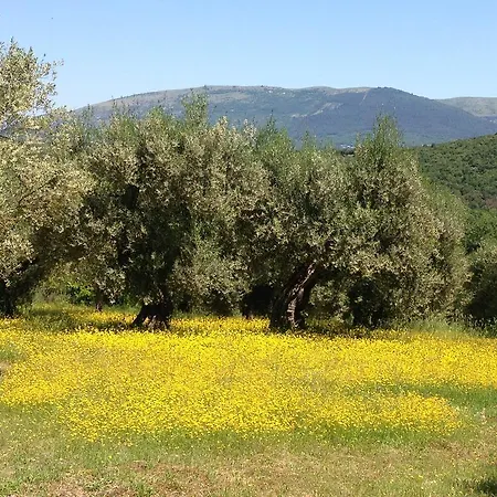 منزل ريفي Edoardo - La Casa Nell'oliveto *