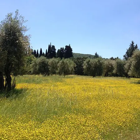 منزل ريفي Edoardo - La Casa Nell'oliveto كورتْشّانو