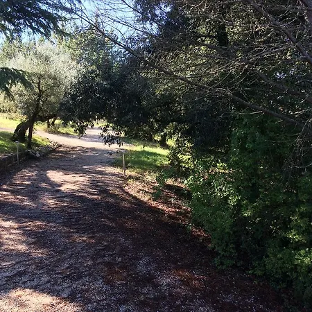 Country house Edoardo - La Casa Nell'oliveto