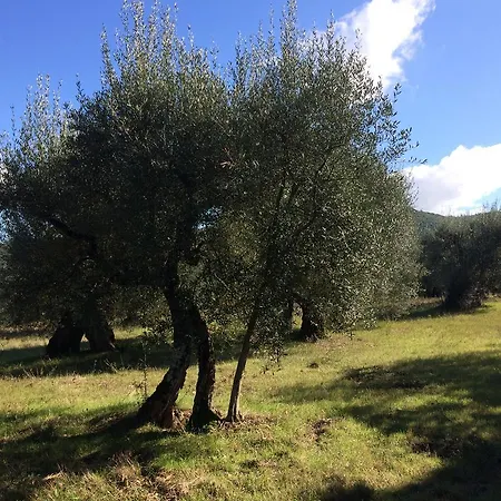 Edoardo - La Casa Nell'oliveto Corciano