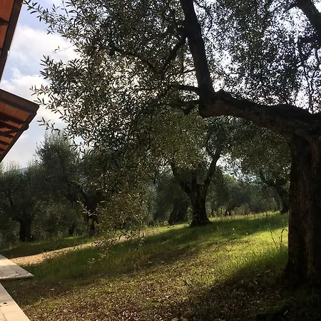 Edoardo - La Casa Nell'oliveto منزل ريفي