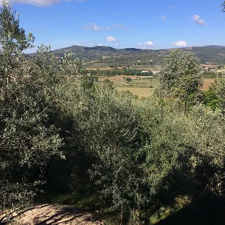 Country house Edoardo - La Casa Nell'oliveto *