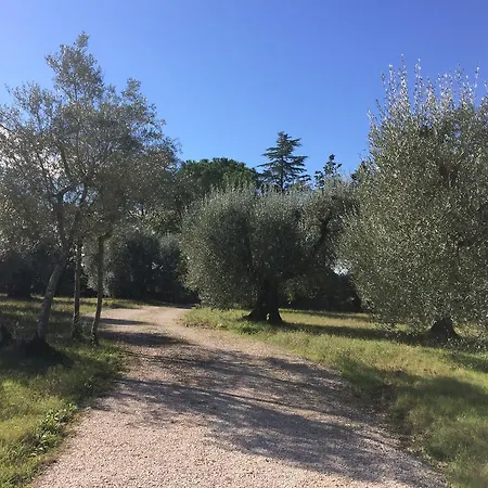 Edoardo - La Casa Nell'oliveto