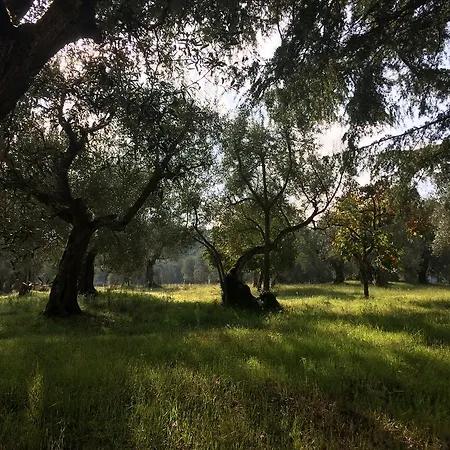Country house Edoardo - La Casa Nell'oliveto Corciano