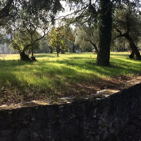 Edoardo - La Casa Nell'oliveto منزل ريفي *