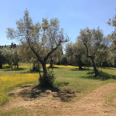 Edoardo - La Casa Nell'oliveto * Corciano