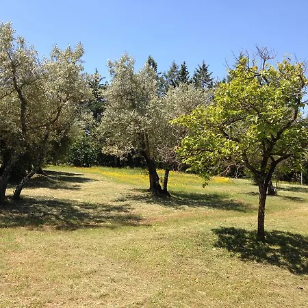Edoardo - La Casa Nell'oliveto * Corciano