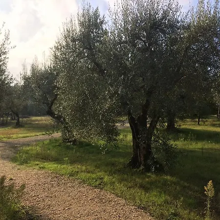 Edoardo - La Casa Nell'oliveto Country house Corciano