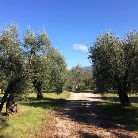 Edoardo - La Casa Nell'oliveto