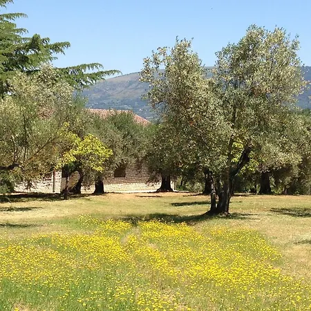 Country house Edoardo - La Casa Nell'oliveto