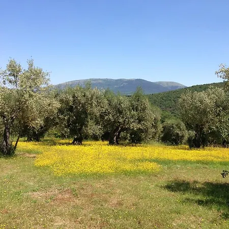 Edoardo - La Casa Nell'oliveto Country house Corciano