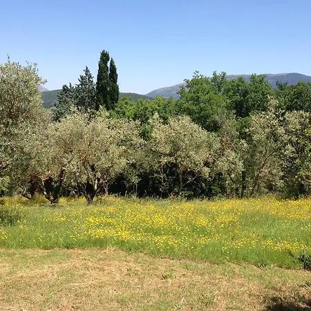 Edoardo - La Casa Nell'oliveto Corciano