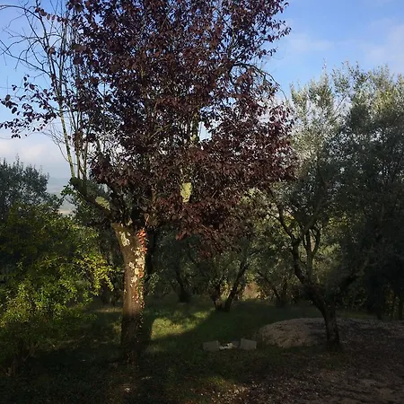 منزل ريفي Edoardo - La Casa Nell'oliveto *
