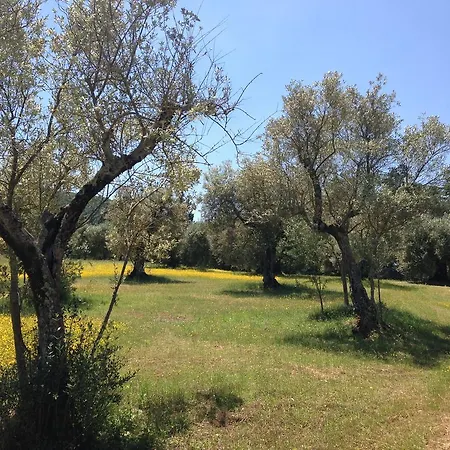 Edoardo - La Casa Nell'oliveto *
