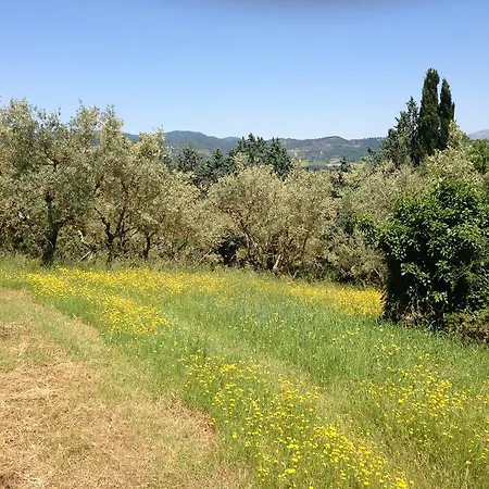 Edoardo - La Casa Nell'oliveto Country house *