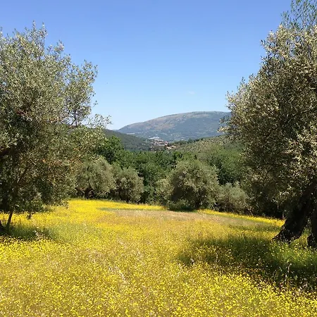 Country house Edoardo - La Casa Nell'oliveto