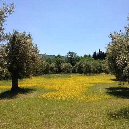 Edoardo - La Casa Nell'oliveto Country house Corciano