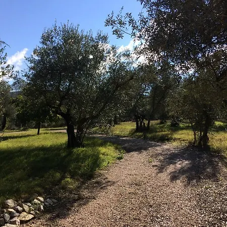Edoardo - La Casa Nell'oliveto منزل ريفي