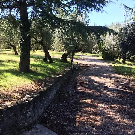 Edoardo - La Casa Nell'oliveto