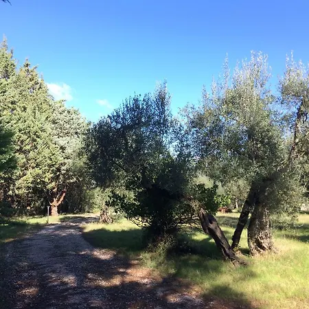 منزل ريفي Edoardo - La Casa Nell'oliveto *