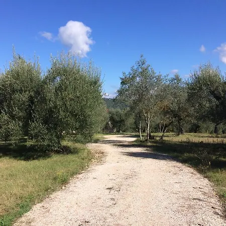 Edoardo - La Casa Nell'oliveto *