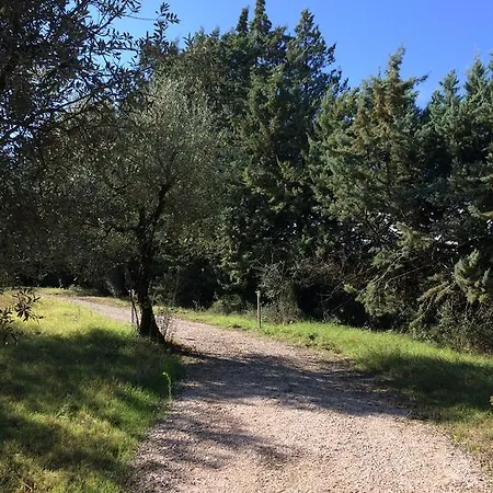 Edoardo - La Casa Nell'oliveto