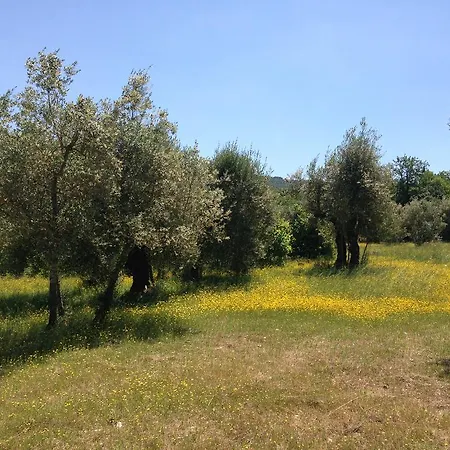 Edoardo - La Casa Nell'oliveto كورتْشّانو