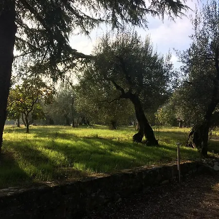 Country house Edoardo - La Casa Nell'oliveto *