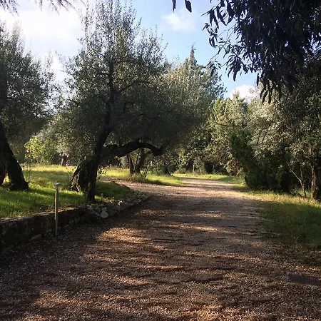منزل ريفي Edoardo - La Casa Nell'oliveto