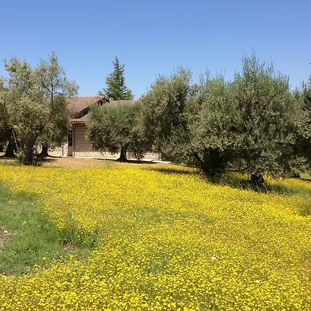 Edoardo - La Casa Nell'oliveto *