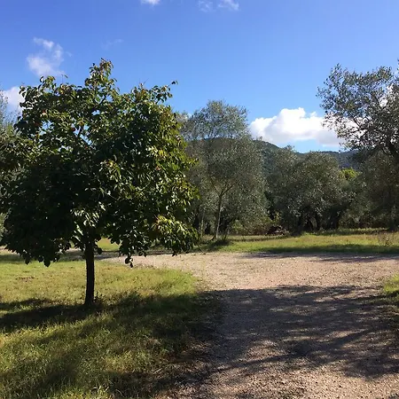 منزل ريفي Edoardo - La Casa Nell'oliveto