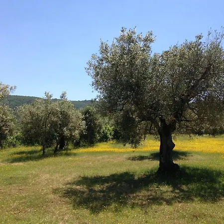 Edoardo - La Casa Nell'oliveto منزل ريفي كورتْشّانو